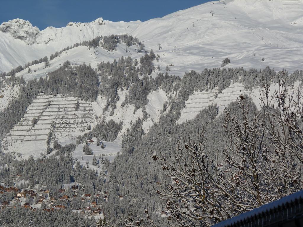 Chalet Des Alpes - Sunset View - クラン エクステリア 写真